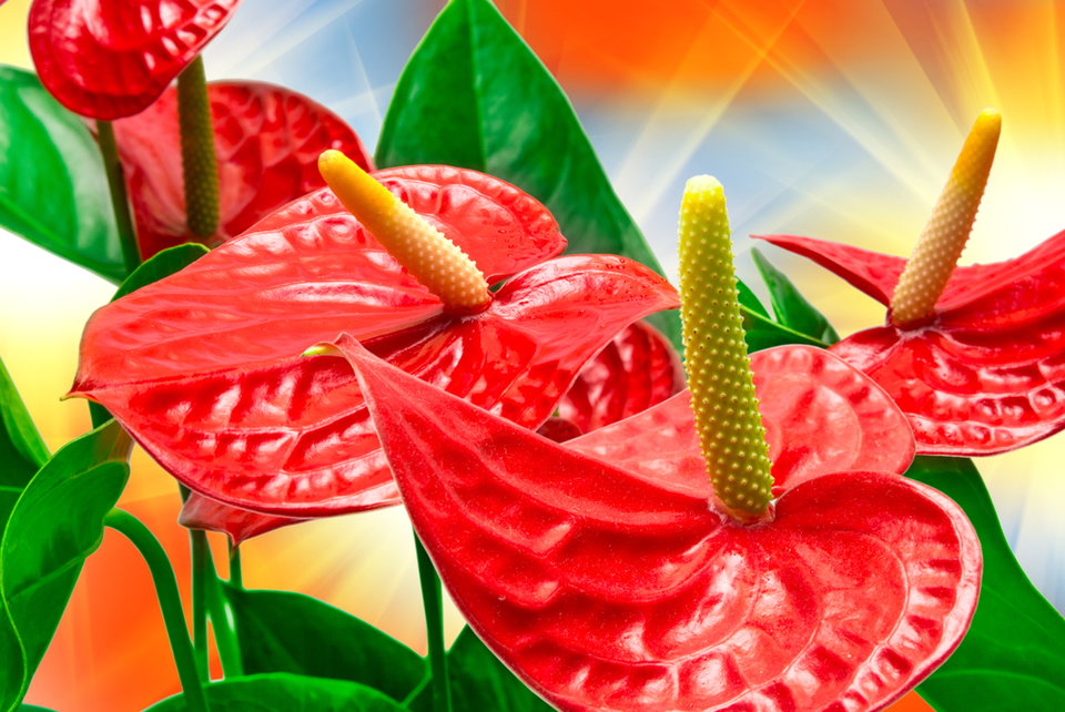 Zdjęcie pożyczone ze strony kobieta.onet.pl