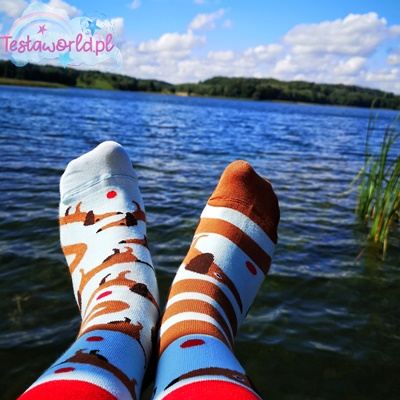 Skarpetki Many Mornings Jamnik